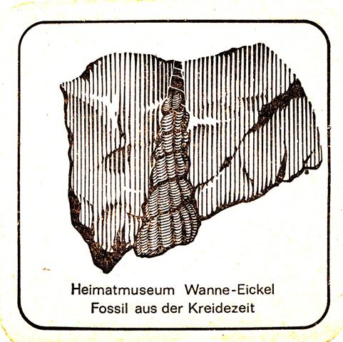 herne her-nw hlsmann quad 2b (185-heimatmuseum-fossil-schwarz) 
